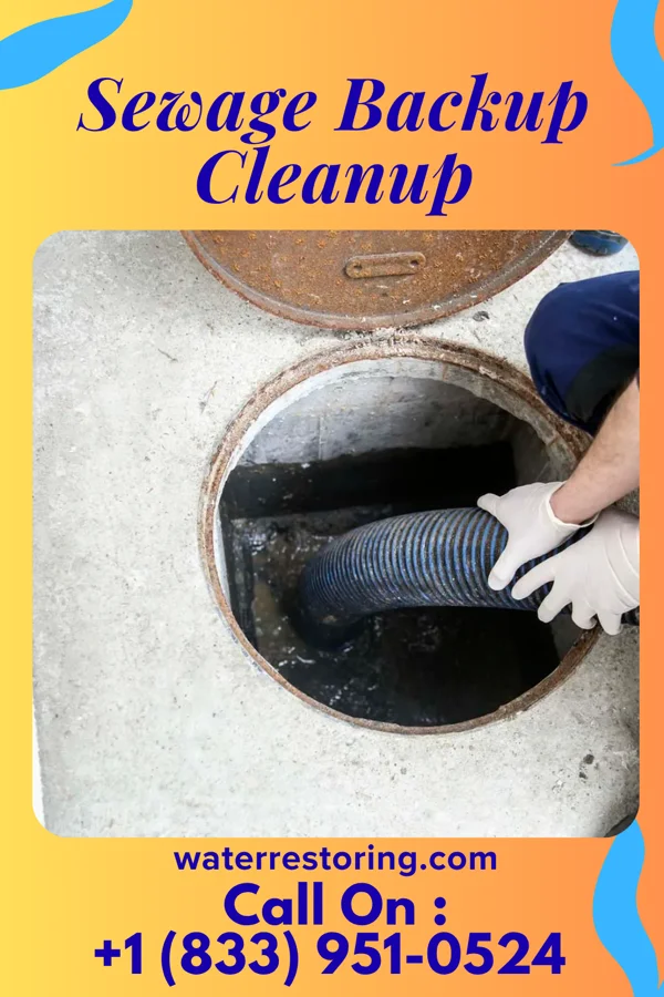 Sewage Backup Cleanup in Westcliffe, CO